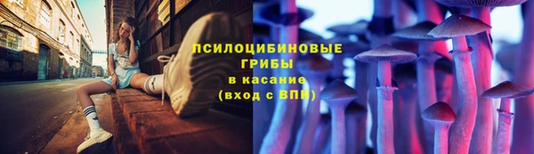 a pvp Касимов