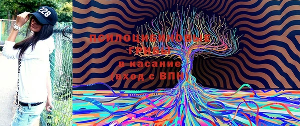 кокаин VHQ Каменногорск