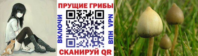 наркошоп Козловка Галлюциногенные грибы мухоморы